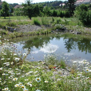 Bild_GEP-Grundlagen